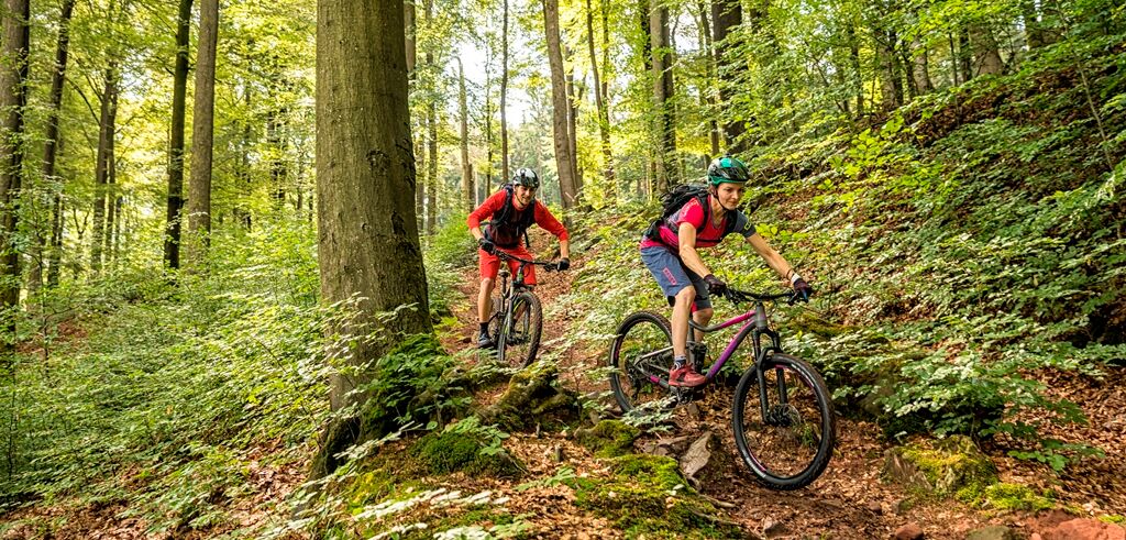 Auffällig gekleidete Mountainbiker fahren rasant durch den blühenden Pfälzerwald
