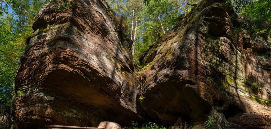 Zweigeteiltes Felsgebilde ragt über hölzerne Bank im Pfälzerwald